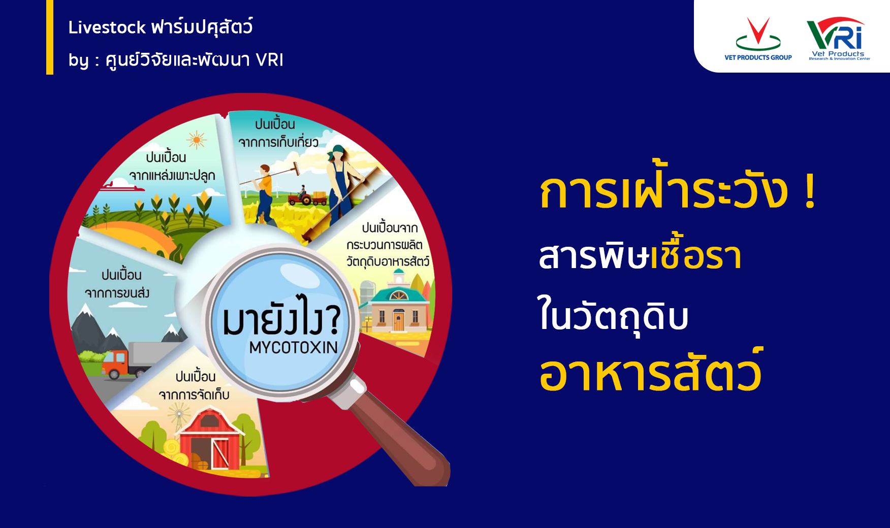 การเฝ้าระวังสารพิษเชื้อราในวัตถุดิบอาหารสัตว์ - Asp Thailand - Animal  Supplement And Pharmaceutical Co., Ltd.