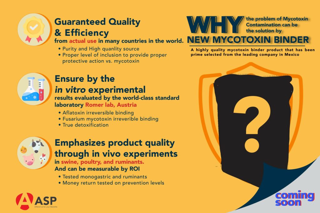 What Are The Criteria For Selecting The Mycotoxin Binder ASP Thailand what-are-the-criteria-for-selecting-the-mycotoxin-binder-asp-thailand